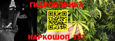 PSILOCYBIN Обь