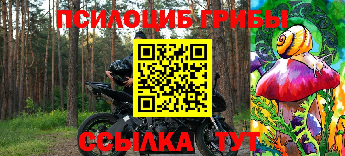 Галлюциногенные грибы Psilocybe  Псилоцибиновые грибы мицелий  Лиски  Вход с VPN 
